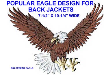 Large Bald Eagle Embroidered Patch